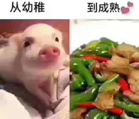 内心幼稚,不太成熟的生肖