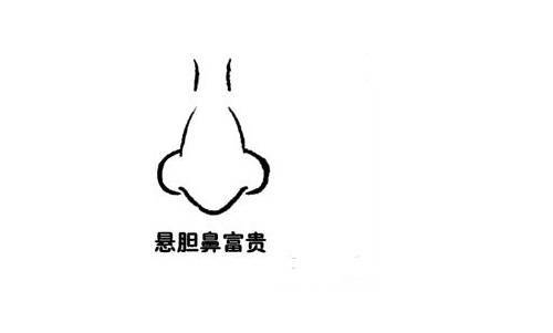 悬胆鼻的人为人是不是都正直善良