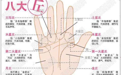 手相看天生旺财的人