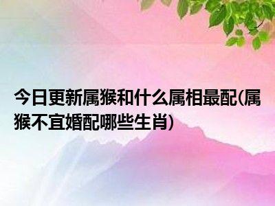 属猴的人不宜和什么属相结婚