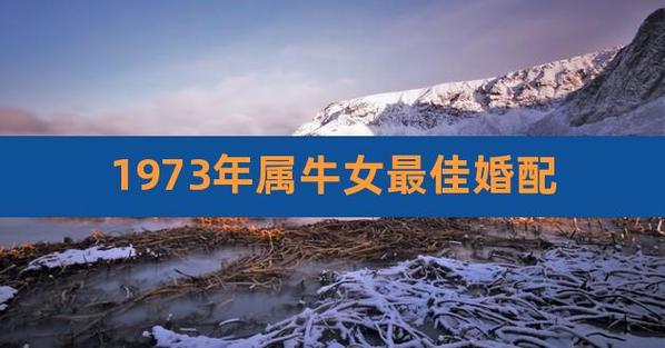 73年属牛女婚姻配偶