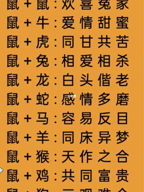 生肖鼠的婚姻配对指数