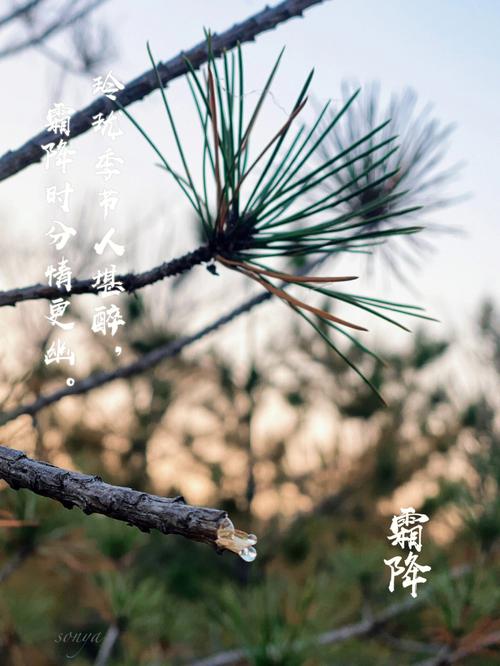 霜降是农历几月几日