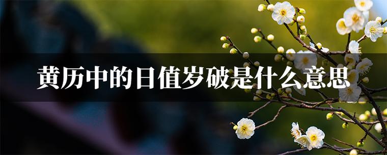 什么是年破月破日破