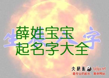 属马的薛姓男宝宝名字