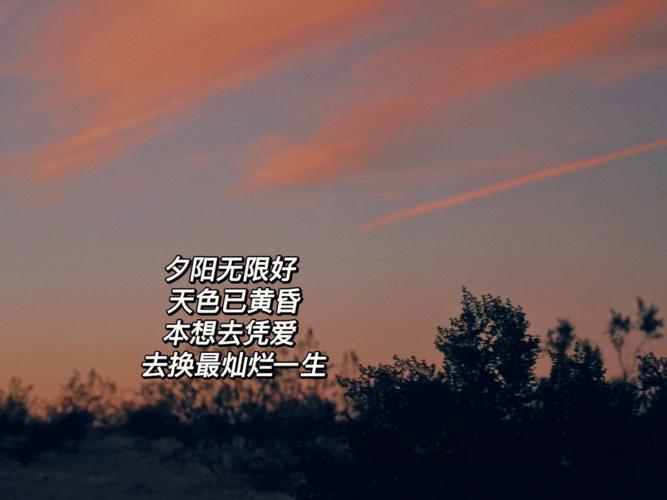 悲秋伤春 喜欢借酒消愁的星座
