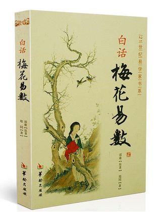 白话梅花易数怎么样