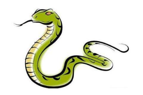 属蛇人2020年吉利和不利方位