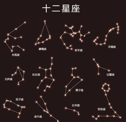 十二星座学生类型
