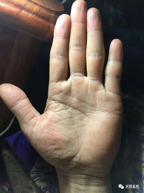 正方形手掌的人有什么特点?
