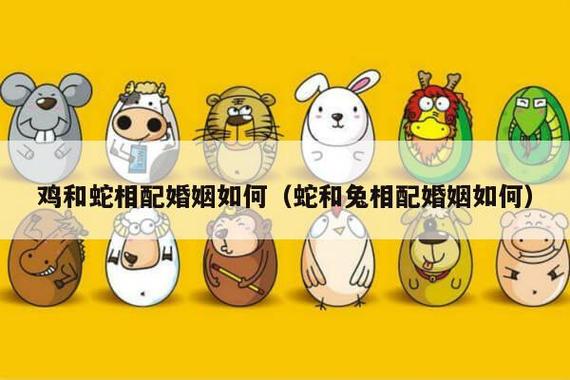 男鸡女蛇婚姻怎么样?属鸡男生爱情运如何?