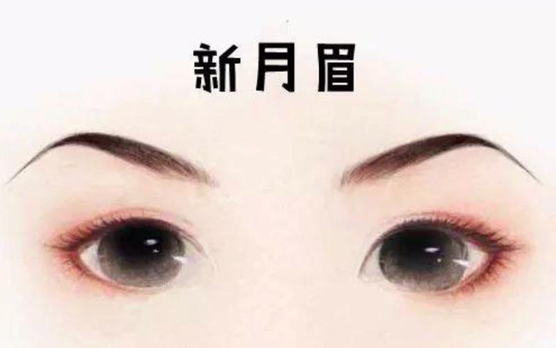 新月眉图片大全