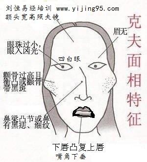 济缘算命:颧骨在面向中的影响