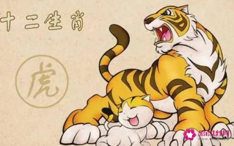 属猴生鸡宝宝好不好