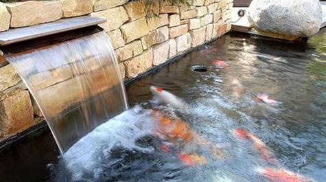梦见院子里有水