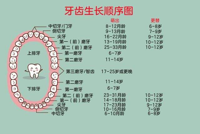 上牙代表父母下牙代表儿女,做梦上牙掉了代表什么预兆