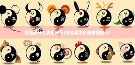 生肖里属兔和什么属相最配?婚姻里感情如何?