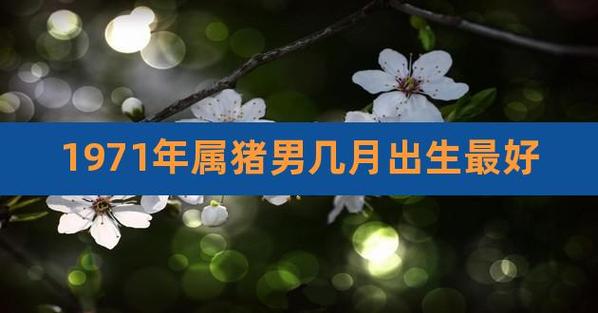 1971年出生的今年运气怎样