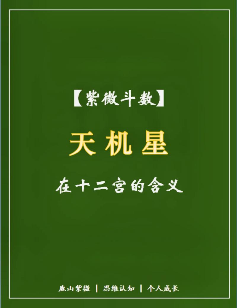 天机星化忌 天机星化忌是什么意思