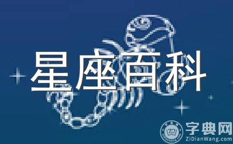 掌握双子座上司的一些战略