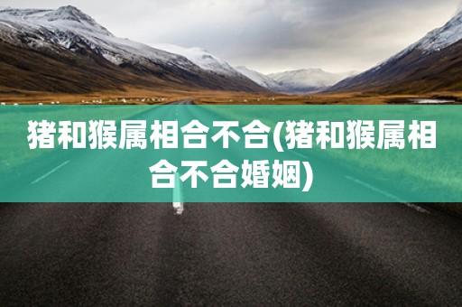 猴和猴属相合不合婚姻