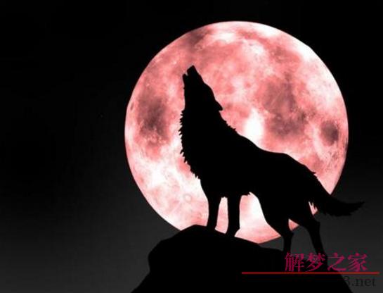 梦见恶狼是什么意思