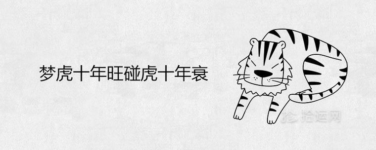 梦虎十年旺是什么意思