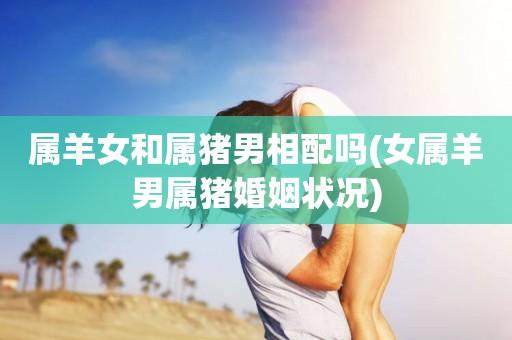 属猪女和属羊男有缘分吗,会相冲相克吗