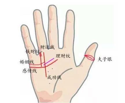 手相之拇指看你的财运如何