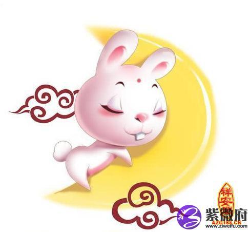 属兔的人2014年运程如何?(一)
