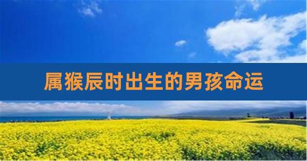 属猴辰时出生的男孩