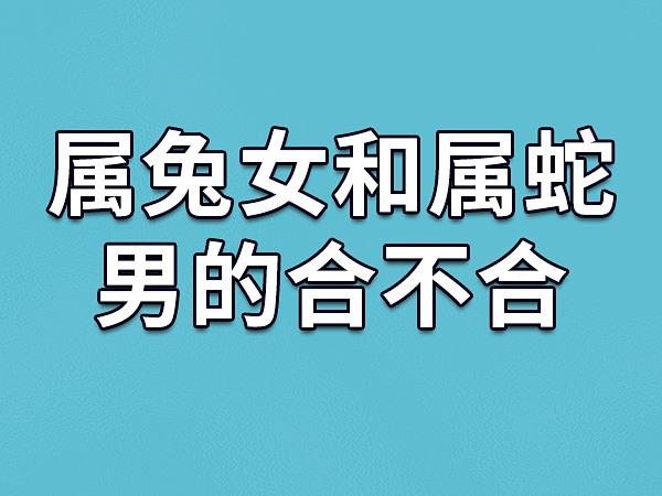 属兔和蛇婚配好不好