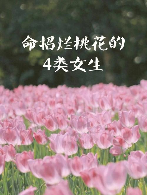 八字测桃花 什么命格的人容易碰烂桃花
