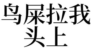 梦见鸟屎落一头