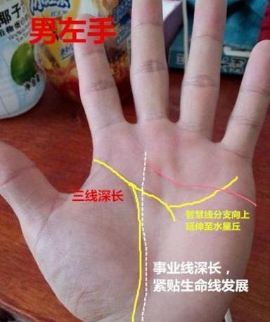 事业线短粗深有什么含义吗