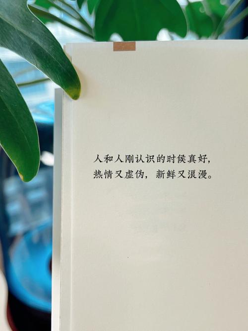 为了有面子属兔的人可以多虚伪