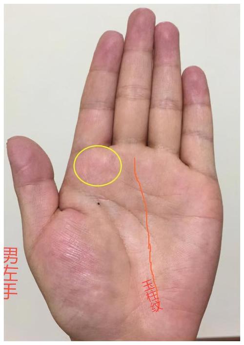 左手断掌纹的男人好不好