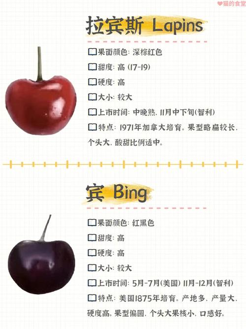 车厘子还叫什么名字