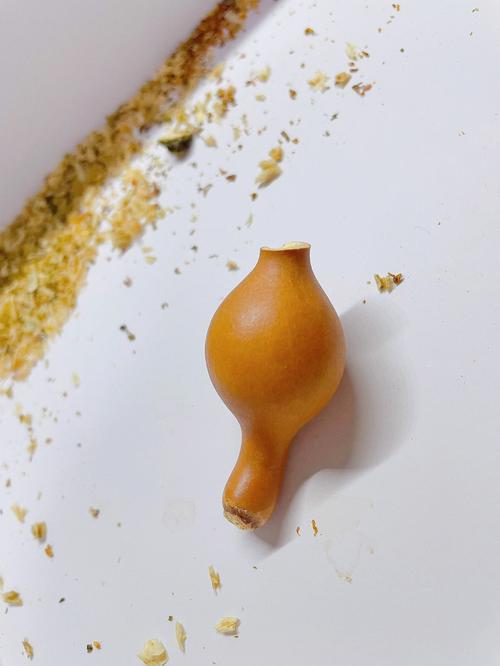捡到别人扔的葫芦要怎么处理