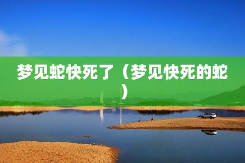 梦见蛇哭了