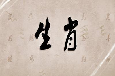 1948年属什么生肖