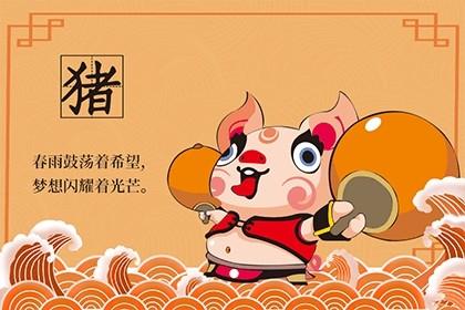 2022年属猪禁忌颜色