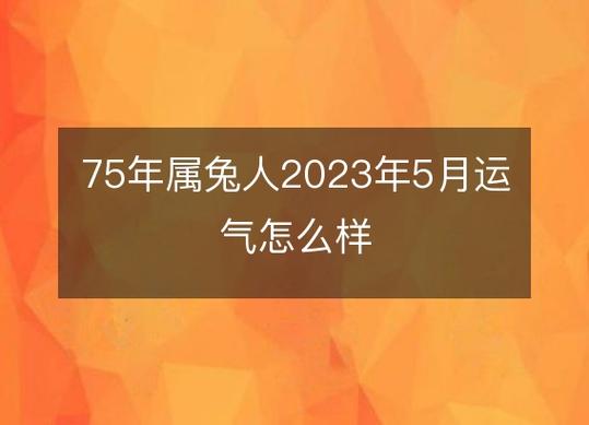 属兔人五月运势怎么样