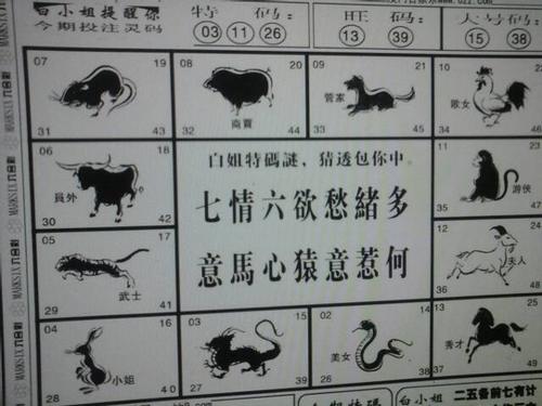 不醉不归是什么生肖