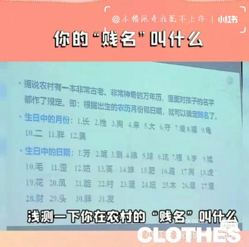 孩子好养活的贱名