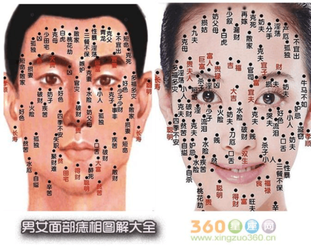 看痣相图怎么分左右,面部哪里长痣是福痣