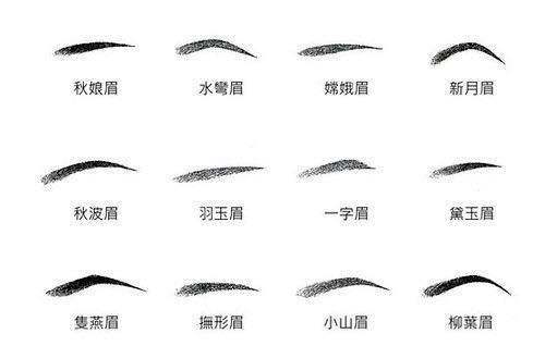 眉毛看相:卧蚕眉象征着什么?
