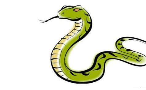 属蛇男为了讨女友欢心会干出什么事