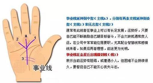 如何从智慧线看你适合从事什么职业?