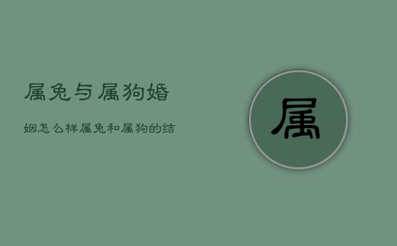 属狗兔 婚姻